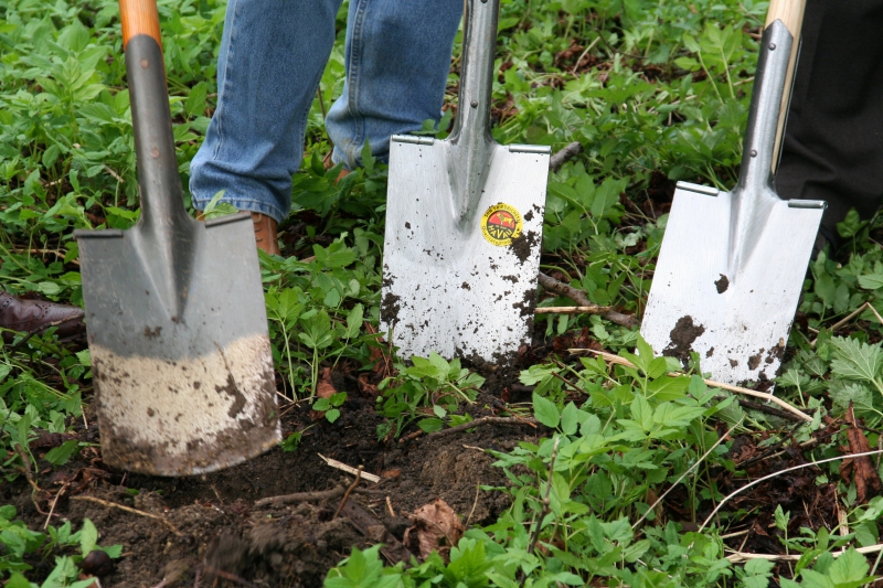 pepiniere-ENTRAUNES-min_work-lawn-flower-tool-green-backyard-1103633-pxhere.com